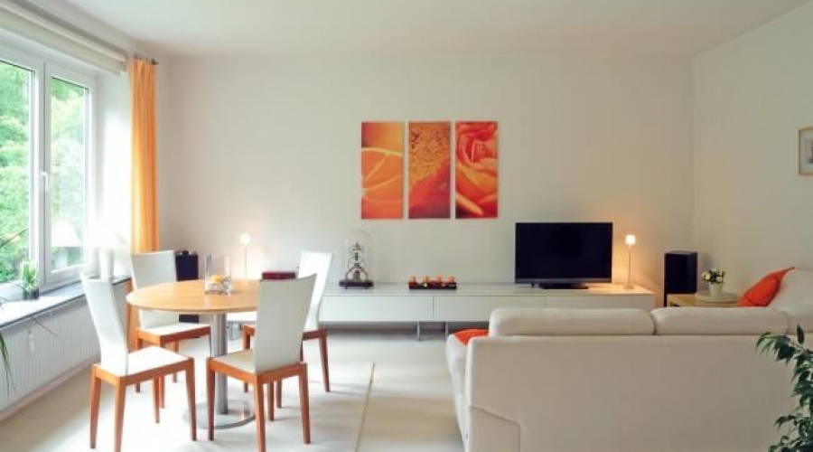 风标准格局装修